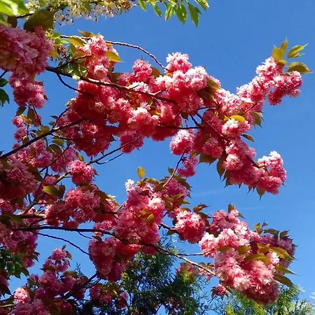 Auszeit Im Spreewald Homestay *